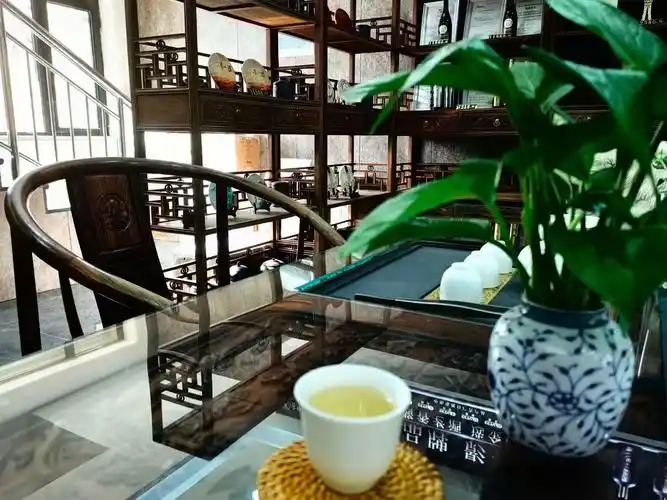 成都耍耍论坛网品牌故事配图